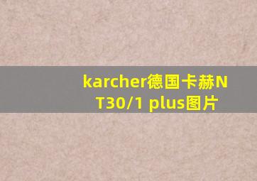 karcher德国卡赫NT30/1 plus图片